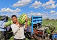 娱乐吃瓜君山河令,古装武侠剧中的甜蜜与热血交织