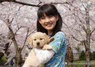娱乐吃瓜酱女生养的狗,揭秘娱乐吃瓜酱女生的心头爱宠