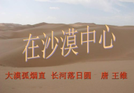 在沙漠中心ppt,沙漠中心的奇迹之旅