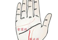手纹算命图解,图解手相算命的艺术与科学