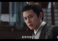 周生如故演员表,实力派明星齐聚演绎感人爱情故事