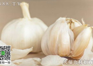 邳州大蒜价格,从历史新高到平稳运行”