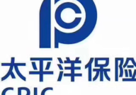 中国人寿再保险公司,引领保险业再保险业务创新与发展”